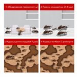 Следующее изображение товара